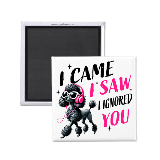 I Came. I Saw. I Ignored You Magnet