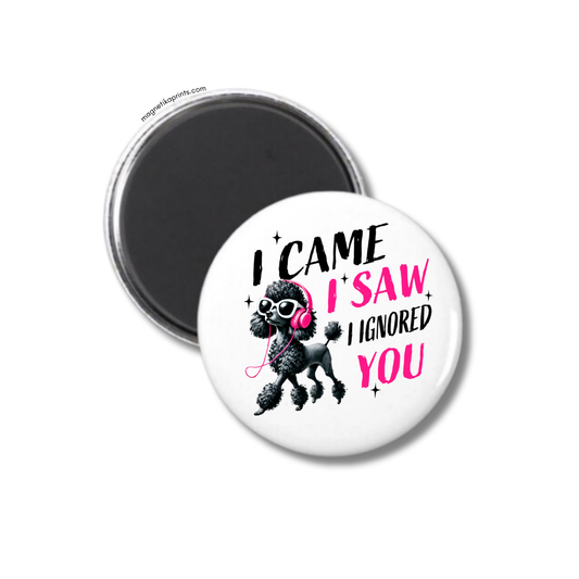 I Came. I Saw. I Ignored You Magnet