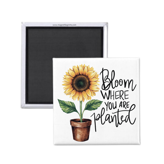 Bloom Where You Are Planted Magnet