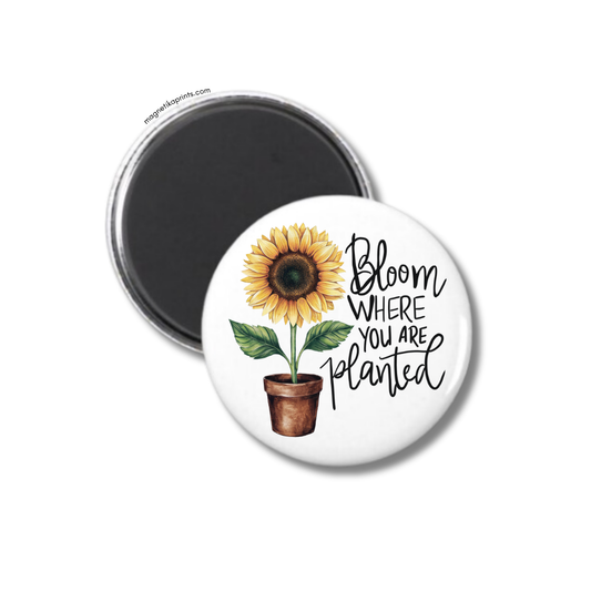 Bloom Where You Are Planted Magnet