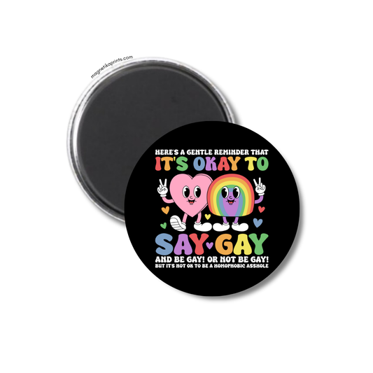 It's Okay To Say Gay Magnet